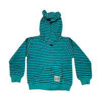 Carter's Boy Hoodie Chyan Check